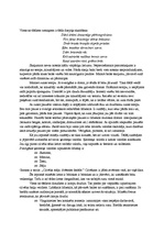 Referāts 'Prasme pareizi uzstāties un uzstāšanās prasme manā darbā', 3.