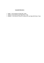 Referāts 'Prasme pareizi uzstāties un uzstāšanās prasme manā darbā', 5.