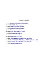 Referāts 'X novada pašvaldības datortīkla izpēte un uzlabošanas risinājumi', 3.