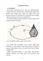 Referāts 'Gāzu attīrīšana no sēra dioksīda', 4.