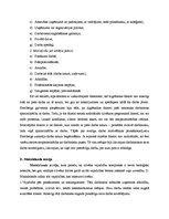 Diplomdarbs 'Reklāmas aģentu motivēšana uzņēmumā "Intercorp"', 22.