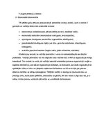 Diplomdarbs 'Reklāmas aģentu motivēšana uzņēmumā "Intercorp"', 55.