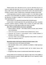 Konspekts 'Organizāciju kultūra. Organizāciju kultūras tipi un funkcijas', 6.