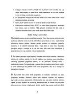 Biznesa plāns 'Biznesa plāns', 9.