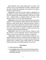 Biznesa plāns 'Biznesa plāns', 11.