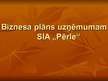 Prezentācija 'Biznesa plāna prezentācija', 1.