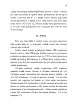 Diplomdarbs 'Brīvās ekonomiskās zonas (Liepājas SEZ specifikas izpēte)', 64.