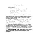 Konspekts 'Cilvēktiesību paaudzes', 1.