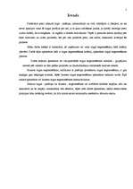 Referāts 'Tirgus segmentēšana', 2.