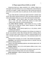 Referāts 'Tirgus segmentēšana', 3.