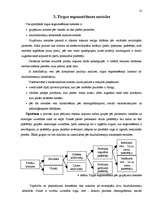 Referāts 'Tirgus segmentēšana', 10.