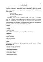 Referāts 'Tirgus segmentēšana', 15.