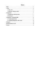 Referāts 'Piktogramma Olimpiskajās spēlēs', 2.
