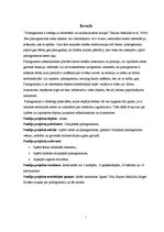 Referāts 'Piktogramma Olimpiskajās spēlēs', 3.