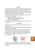 Referāts 'Piktogramma Olimpiskajās spēlēs', 4.