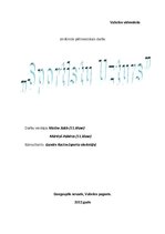 Referāts 'Sportistu uzturs', 1.