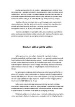 Referāts 'Sportistu uzturs', 9.