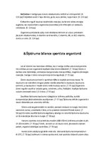 Referāts 'Sportistu uzturs', 22.