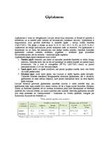 Referāts 'Latvijā izplatītās būvgruntis', 4.