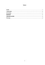 Referāts 'Brāļi Raiti', 2.