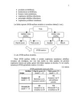 Referāts 'SIA "Fitness centrs" SVID analīze un attīstības stratēģijas izstrādāšana', 7.