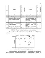 Referāts 'SIA "Fitness centrs" SVID analīze un attīstības stratēģijas izstrādāšana', 23.