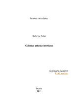 Prezentācija 'Gaismas ātruma mērīšana', 20.