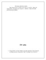 Referāts 'Veronika Strēlerte', 4.