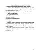 Prakses atskaite 'Firmas SIA "X" finanšu analīze', 19.