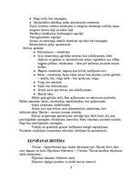 Prakses atskaite 'Aprūpes plāns', 6.