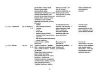 Prakses atskaite 'Aprūpes plāns', 18.