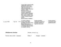 Prakses atskaite 'Aprūpes plāns', 19.