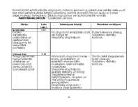 Prakses atskaite 'Aprūpes plāns', 33.