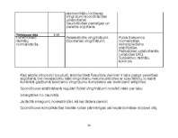 Prakses atskaite 'Aprūpes plāns', 34.