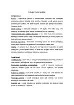 Eseja 'Latvijas sabiedrības analīze valstu savstarpējā konkurencē', 1.