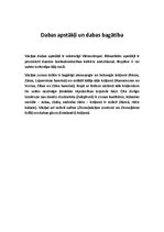 Referāts 'Vācija', 3.