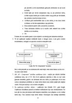 Referāts 'SIA "M-Components" darbinieku motivācijas projekta izstrādāšana', 14.