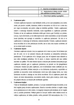 Referāts 'SIA "M-Components" darbinieku motivācijas projekta izstrādāšana', 19.