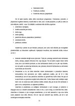 Referāts 'SIA "M-Components" darbinieku motivācijas projekta izstrādāšana', 32.