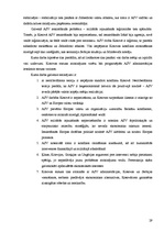 Referāts 'Amerikas Savienoto Valstu noteicošā loma Kosovas konflikta risināšanā', 29.