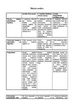 Prakses atskaite 'Muzeju analīze', 2.