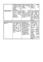 Prakses atskaite 'Muzeju analīze', 3.