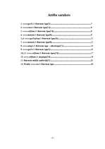 Referāts 'Mārketinga aktivitātes internetā', 4.