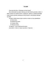 Referāts 'Mārketinga aktivitātes internetā', 5.