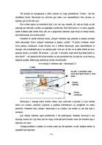 Referāts 'Mārketinga aktivitātes internetā', 14.