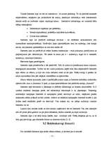 Referāts 'Mārketinga aktivitātes internetā', 15.