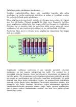 Referāts 'Uzņēmuma finansiālais stāvoklis', 7.