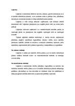 Referāts 'Loģistika, viss kurss', 1.