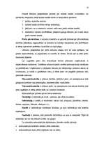 Referāts 'Loģistika, viss kurss', 14.