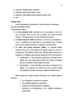 Referāts 'Loģistika, viss kurss', 18.